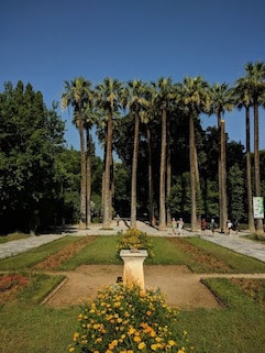 Picnic at Shinjuku Gyoen National Garden